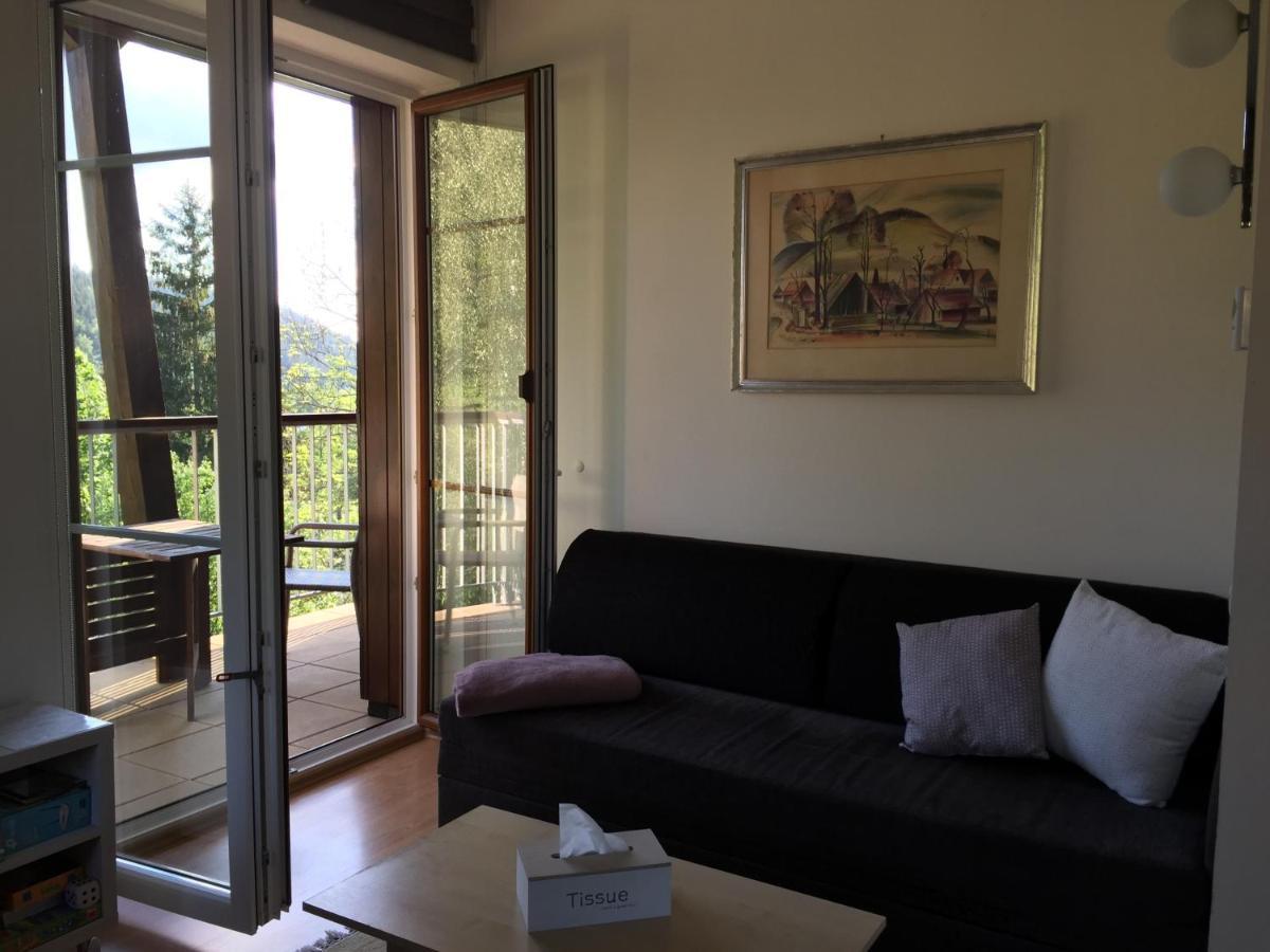 Apartman U Sjezdovky Velké Karlovice Εξωτερικό φωτογραφία