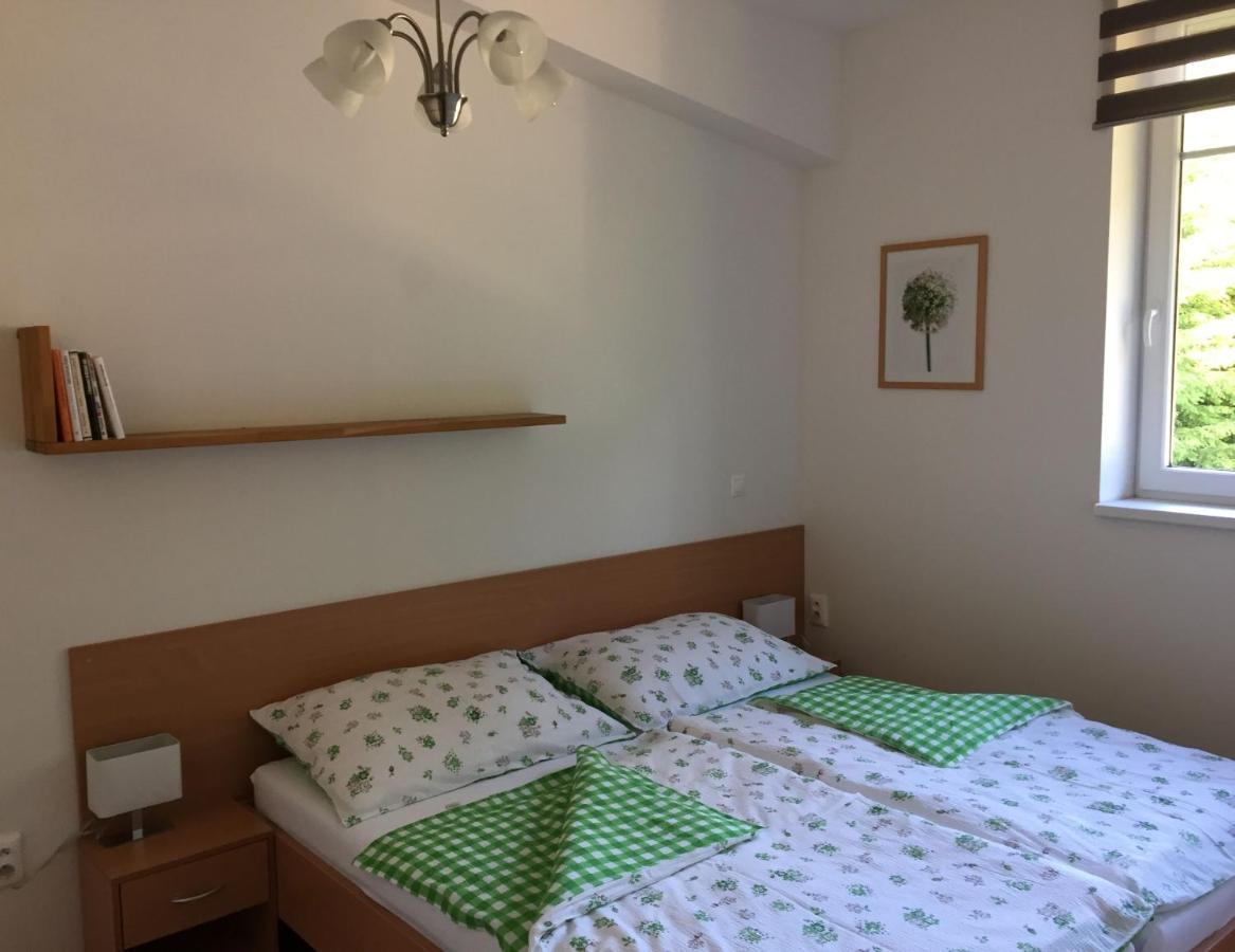 Apartman U Sjezdovky Velké Karlovice Εξωτερικό φωτογραφία